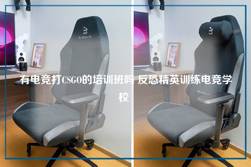 有电竞打CSGO的培训班吗 反恐精英训练电竞学校 
